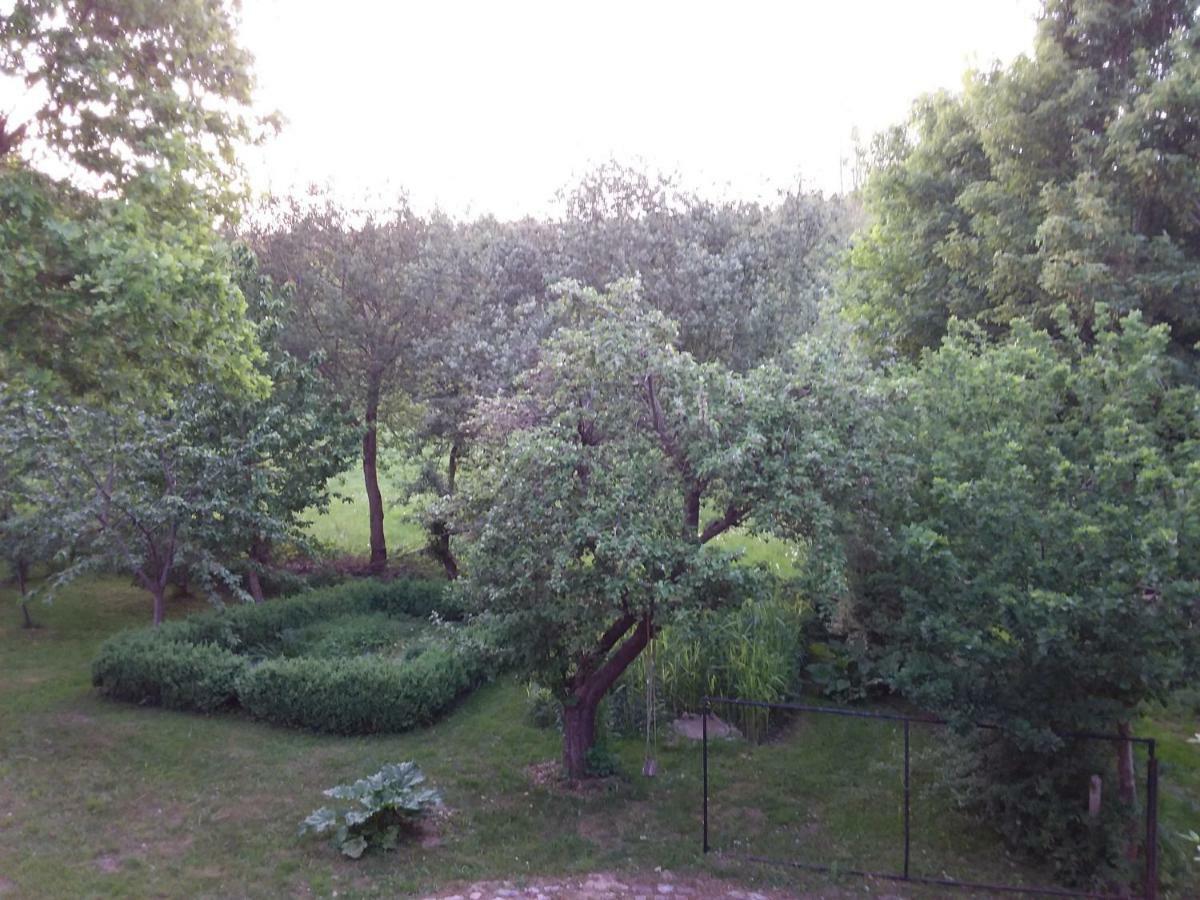 Moorgartenhaus Villa Carlsthal ภายนอก รูปภาพ