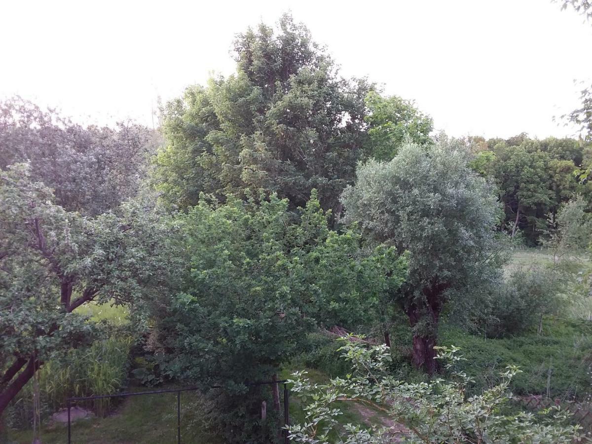 Moorgartenhaus Villa Carlsthal ภายนอก รูปภาพ
